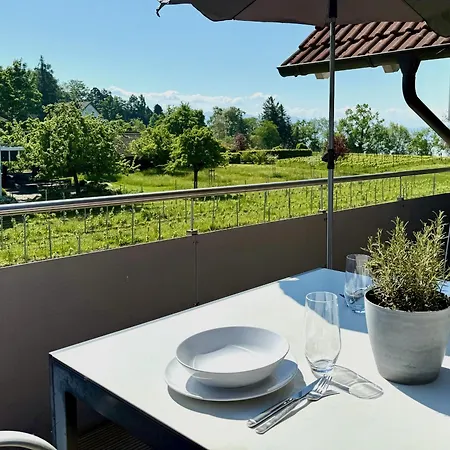 Dani Ferienapartment Panoramablick アパート ノネンホルン