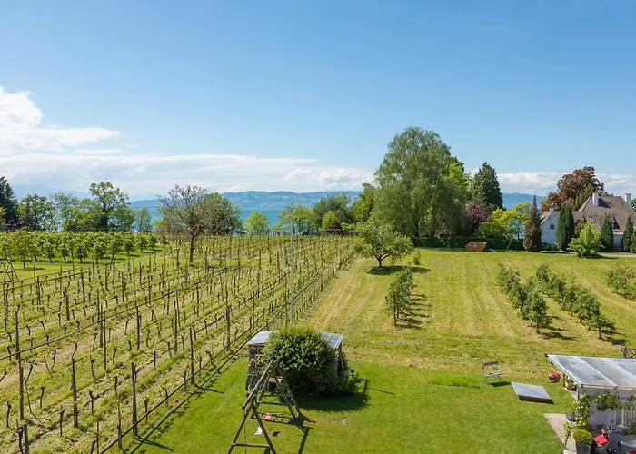 Ferienapartment Panoramablick - Gemuetlicher Rueckzugsort Mit Ausblick