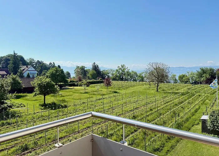 Ferienapartment Panoramablick - Gemuetlicher Rueckzugsort Mit Ausblick